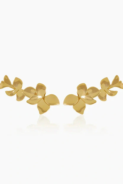 Orchid Gold